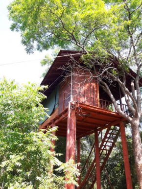  Dambulla Tree House  Dambulla